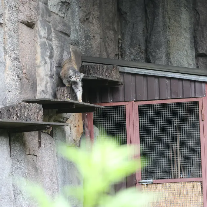 A photograph of Timofey in Moscow zoo
