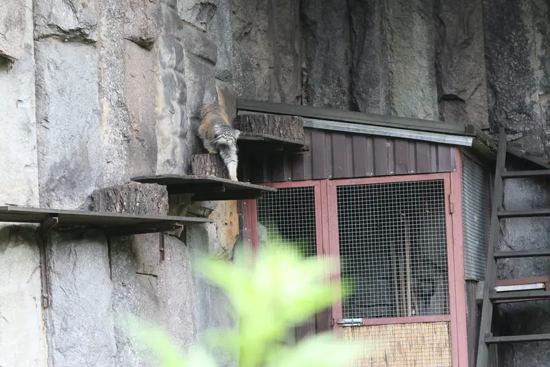 A photograph of Timofey in Moscow zoo
