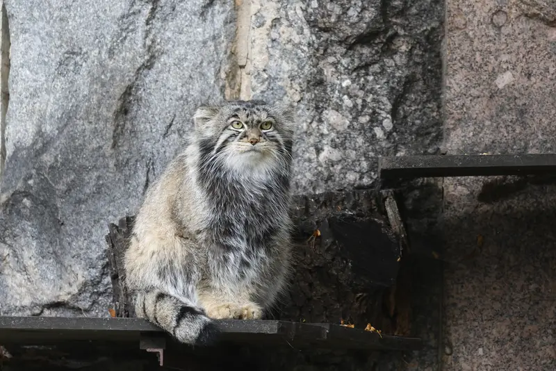 A photograph of Timofey in Moscow zoo