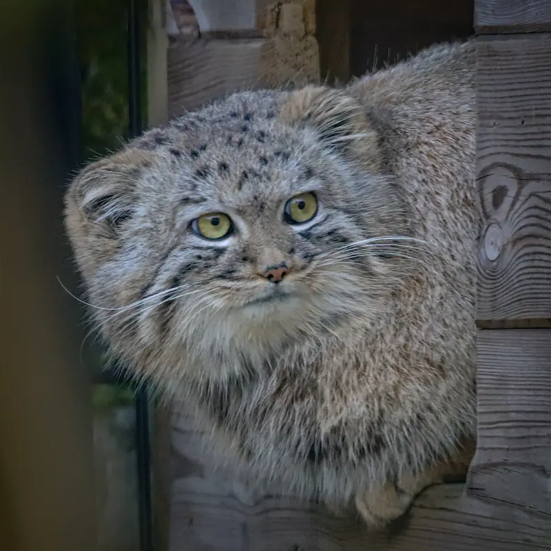 A photograph of Aaron in Bio-Topia Dunkerque