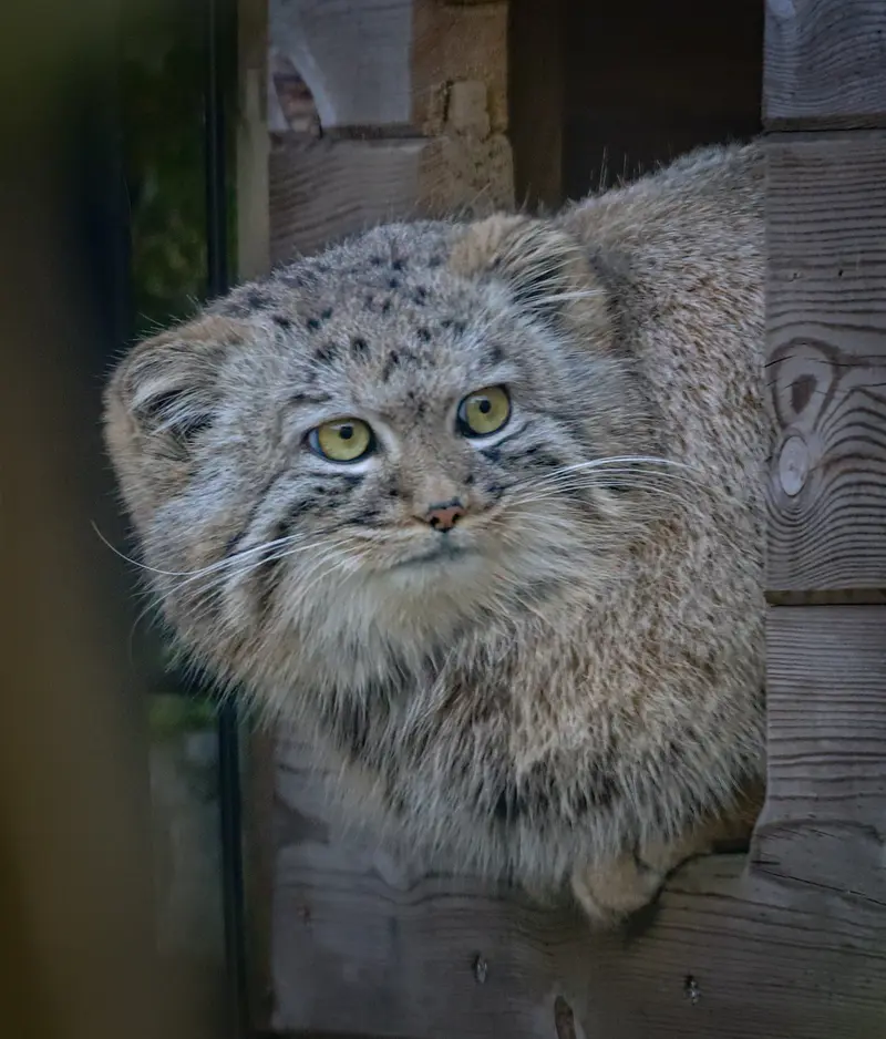 A photograph of Aaron in Bio-Topia Dunkerque