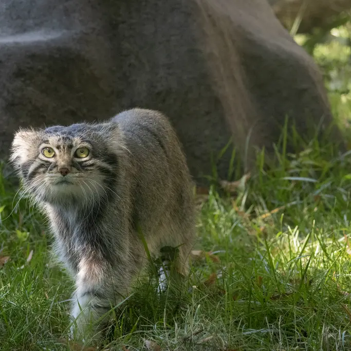 A photograph of Timofey in Moscow zoo