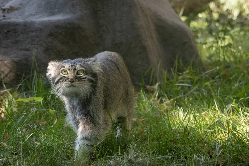 A photograph of Timofey in Moscow zoo