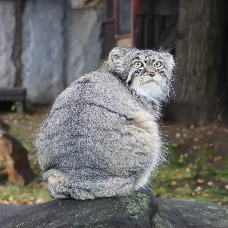 A photograph of Timofey in Moscow zoo