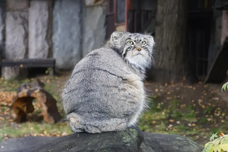 A photograph of Timofey in Moscow zoo