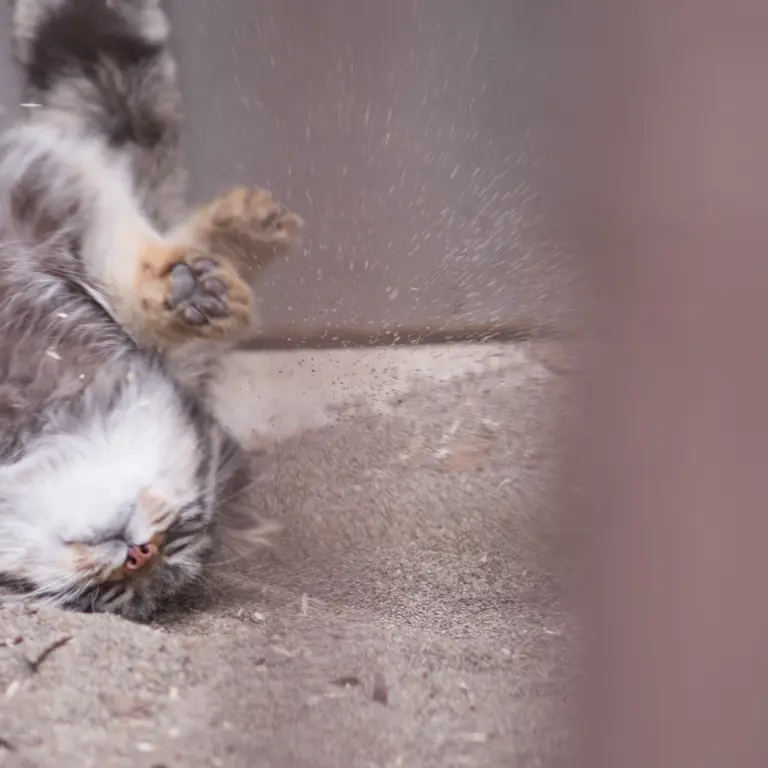 A photograph of Figa in Nogeyama Zoo