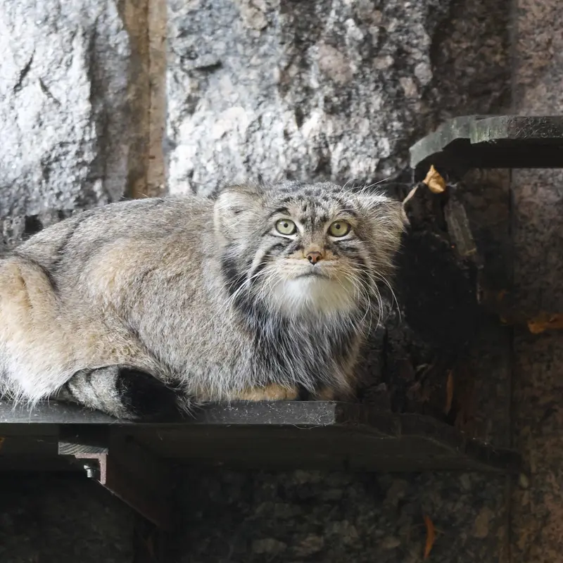 A photograph of Timofey in Moscow zoo