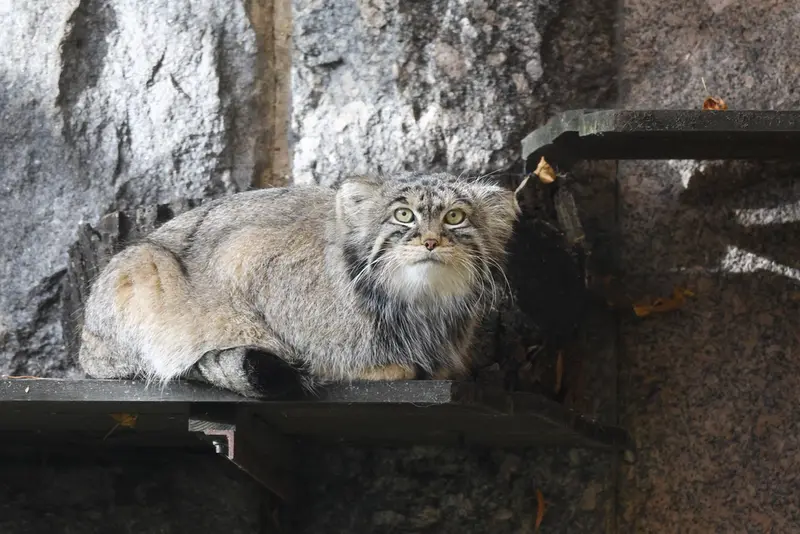 A photograph of Timofey in Moscow zoo