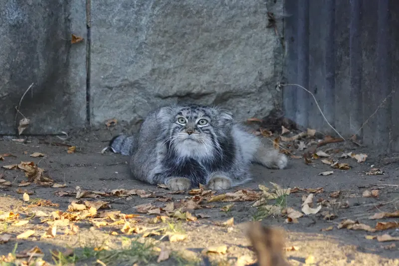A photograph of Timofey in Moscow zoo