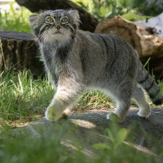 A photograph of Timofey in Moscow zoo