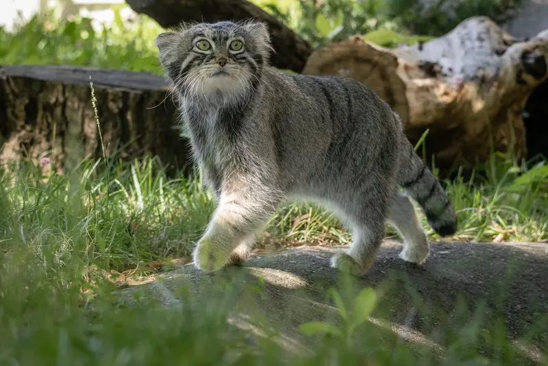 A photograph of Timofey in Moscow zoo