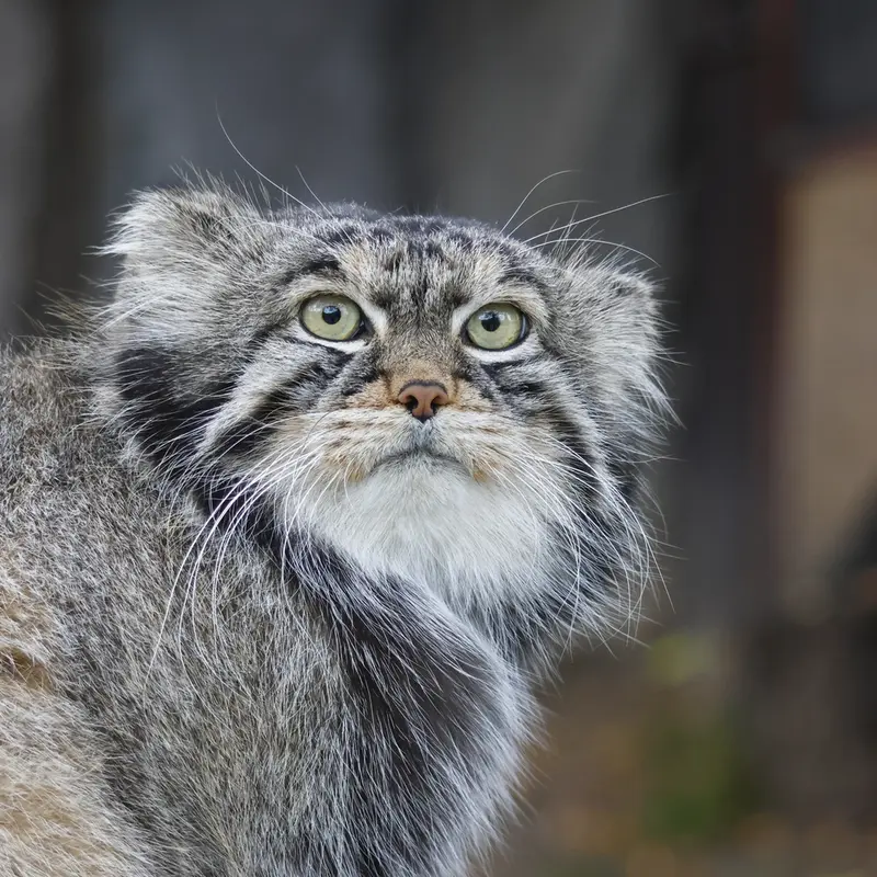 A photograph of Timofey in Moscow zoo