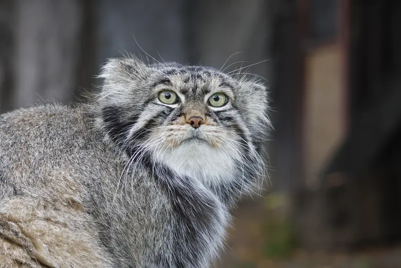 A photograph of Timofey in Moscow zoo