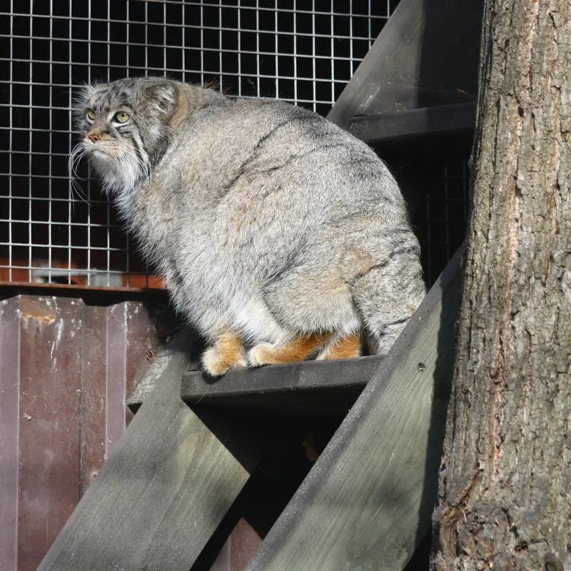 A photograph of Timofey in Moscow zoo