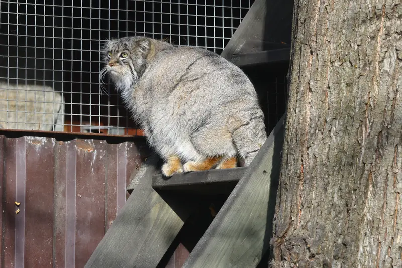 A photograph of Timofey in Moscow zoo