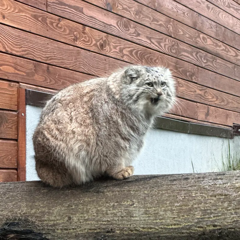 A photograph of Manuel in Gdansk Zoo