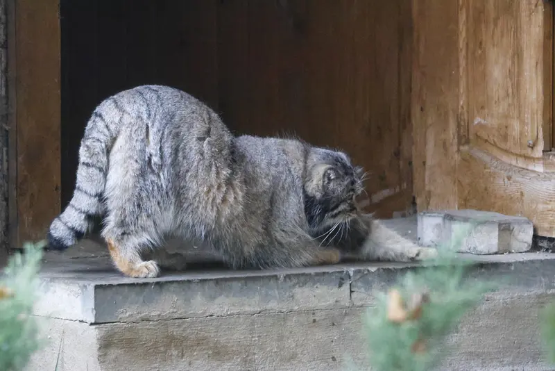 A photograph of Timofey in Moscow zoo
