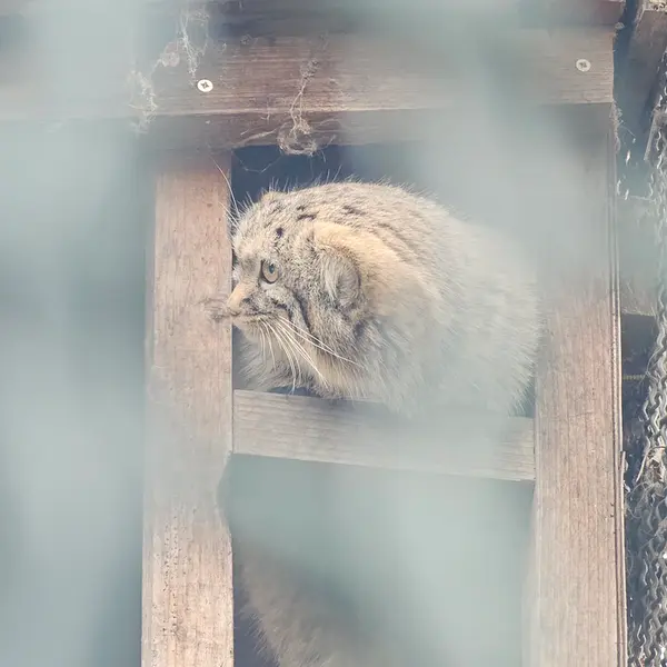 A photograph of Lucy in Budapest Zoo &amp; Botanical Garden