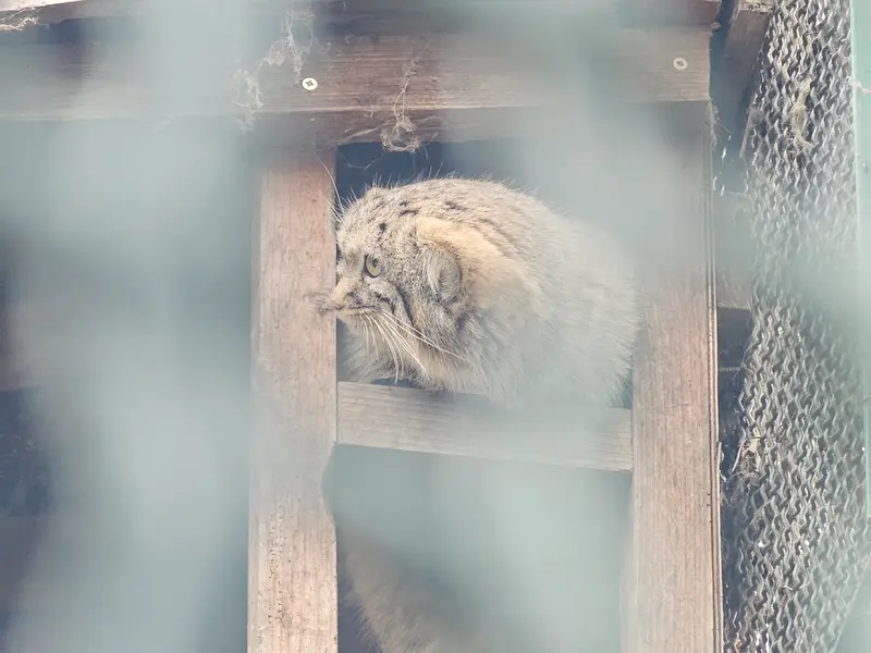A photograph of Lucy in Budapest Zoo &amp; Botanical Garden