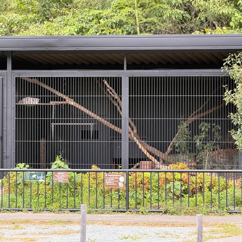 A photograph of Mei in Gokatsuraike Animal Park