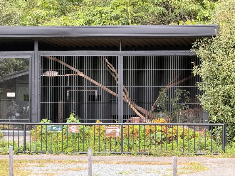 A photograph of Mei in Gokatsuraike Animal Park