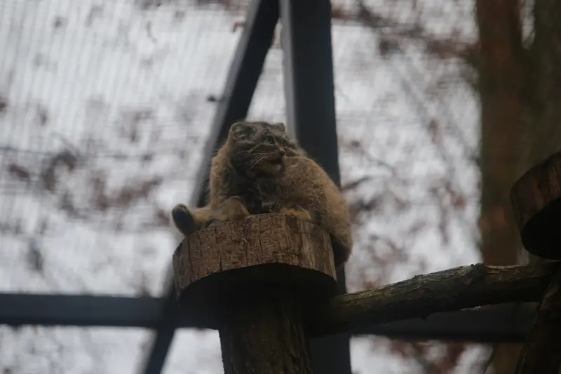 A photograph of Ula in Gdansk Zoo