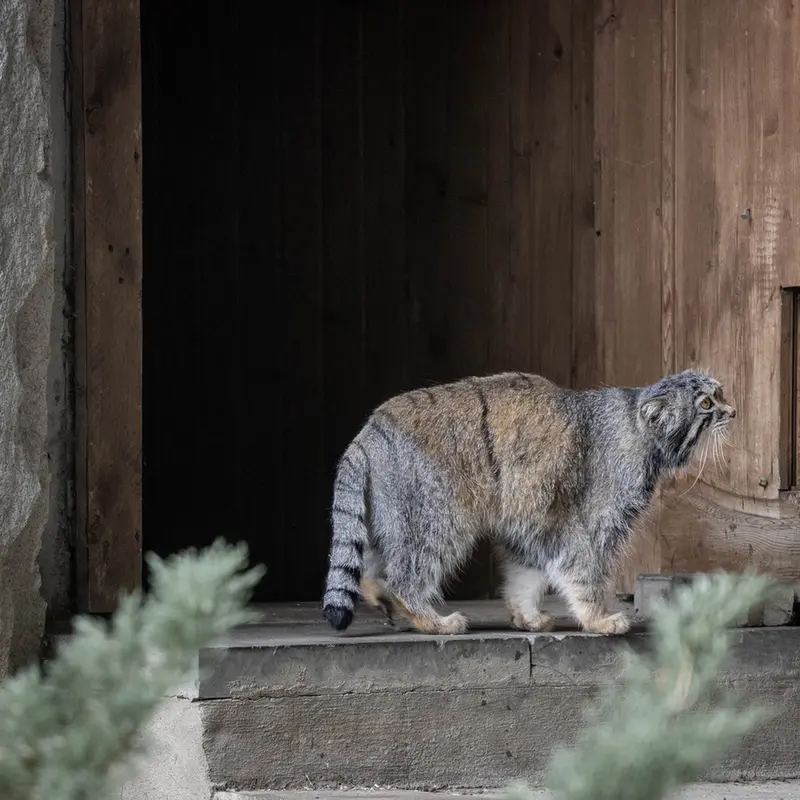 A photograph of Timofey in Moscow zoo