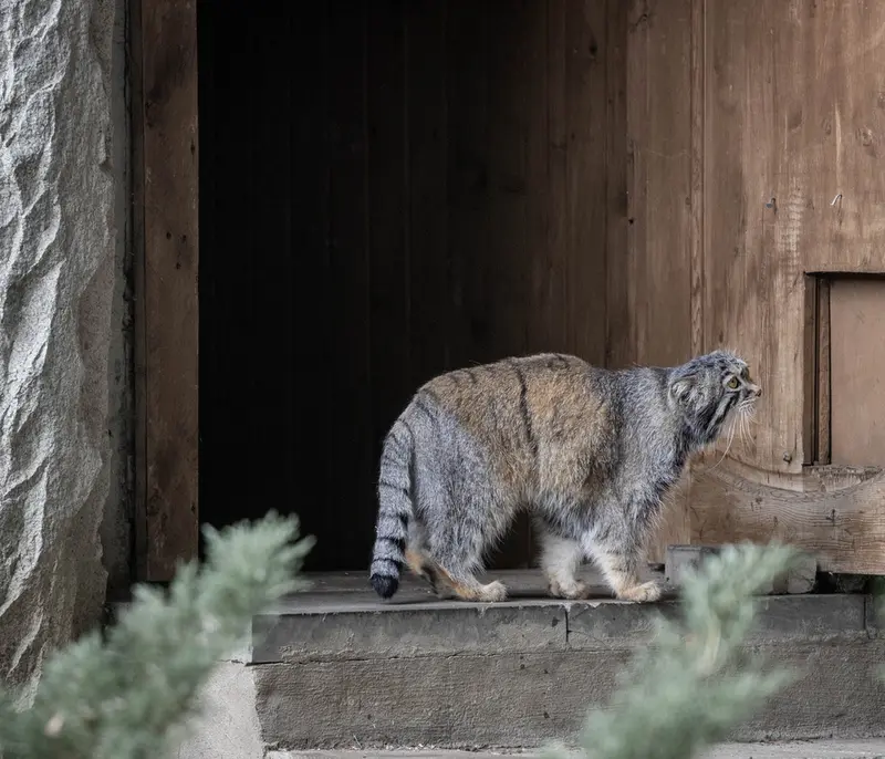 A photograph of Timofey in Moscow zoo