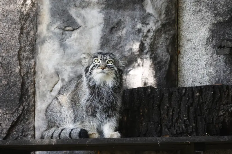 A photograph of Timofey in Moscow zoo