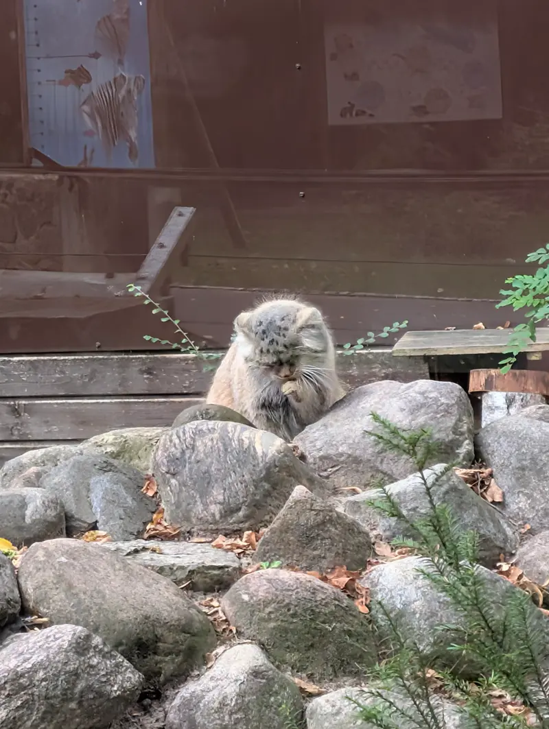 A photograph of Bozenka in Poznan New Zoo