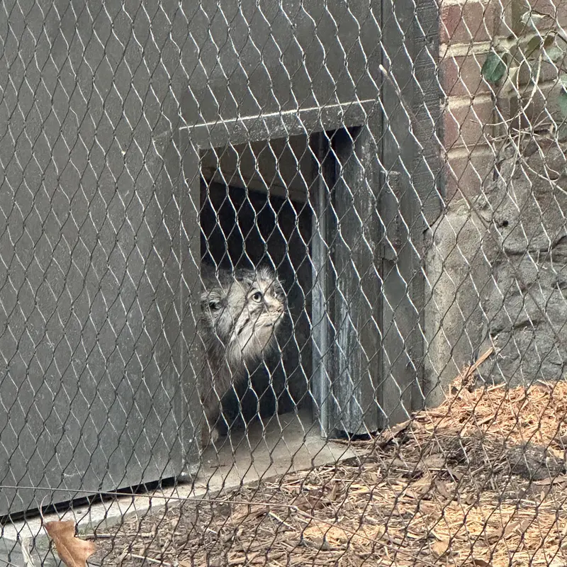 A photograph of Sarnai in Prospect Park Zoo