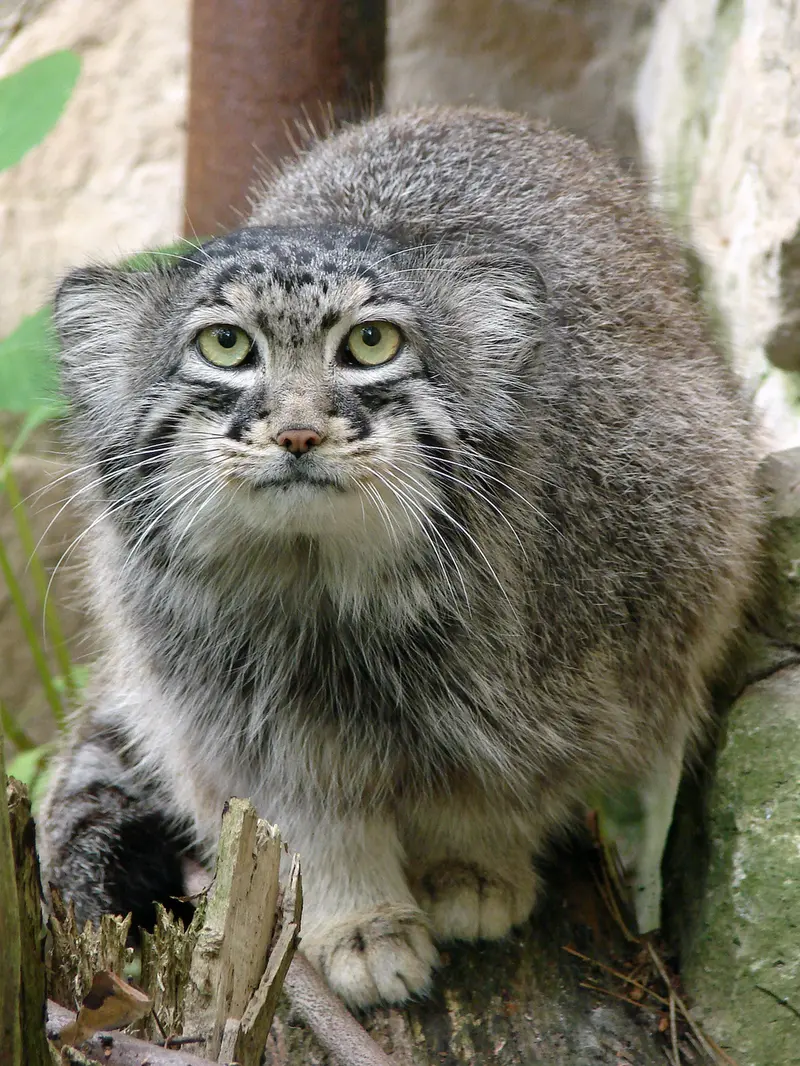 A photograph of Hurst in Riga Zoo