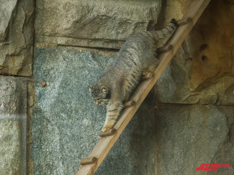 A photograph of Varvara in Moscow zoo