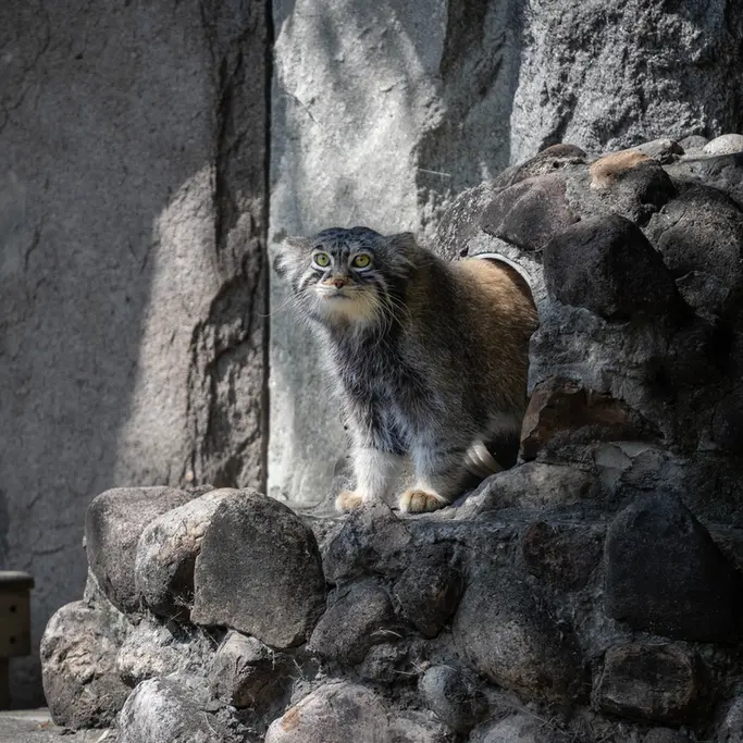 A photograph of Timofey in Moscow zoo