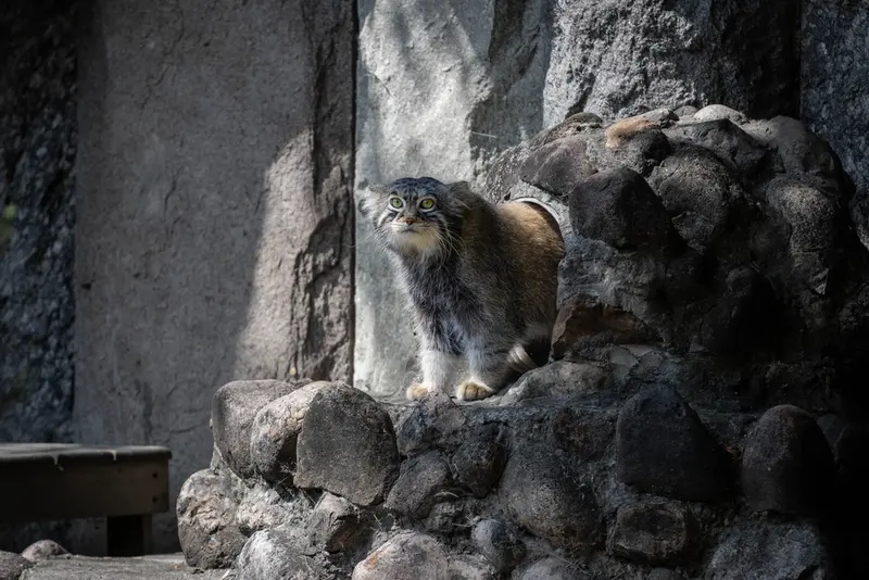 A photograph of Timofey in Moscow zoo