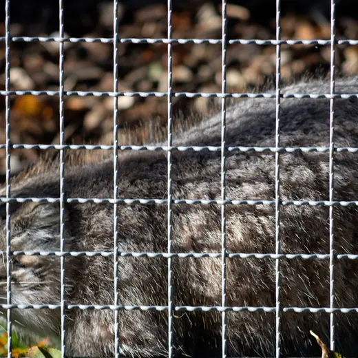 A photograph of Melissa in Lithuanian Zoo