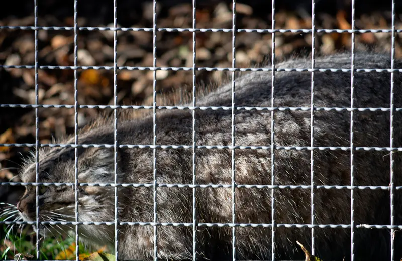 A photograph of Melissa in Lithuanian Zoo