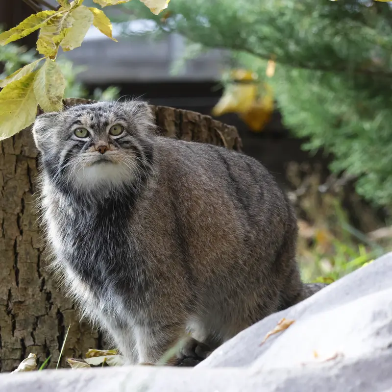 A photograph of Timofey in Moscow zoo