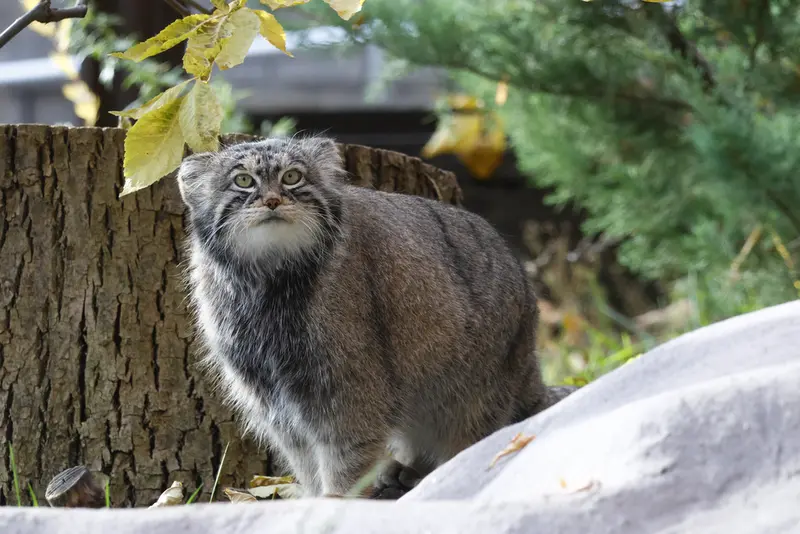 A photograph of Timofey in Moscow zoo