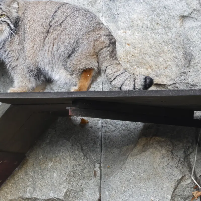 A photograph of Timofey in Moscow zoo