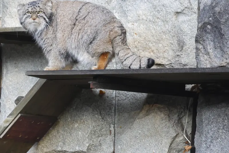 A photograph of Timofey in Moscow zoo