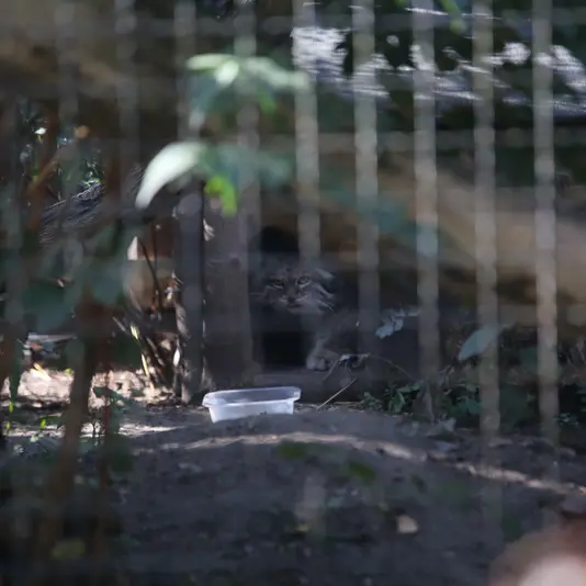 A photograph of Jessie in Warsaw Zoo