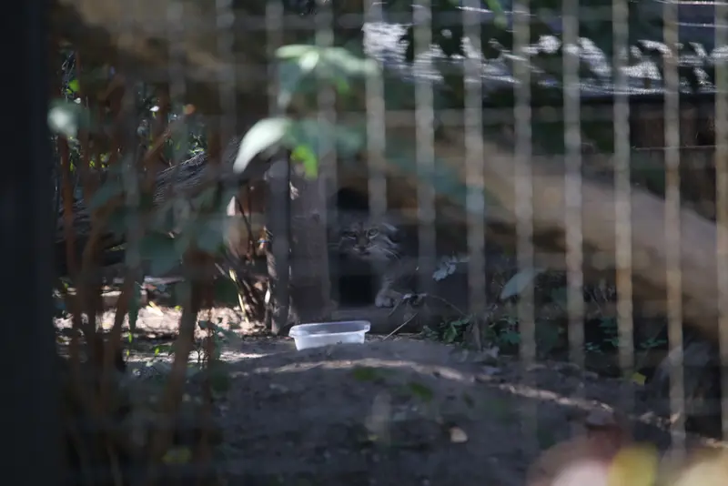 A photograph of Jessie in Warsaw Zoo