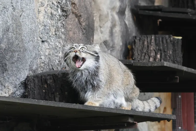 A photograph of Timofey in Moscow zoo