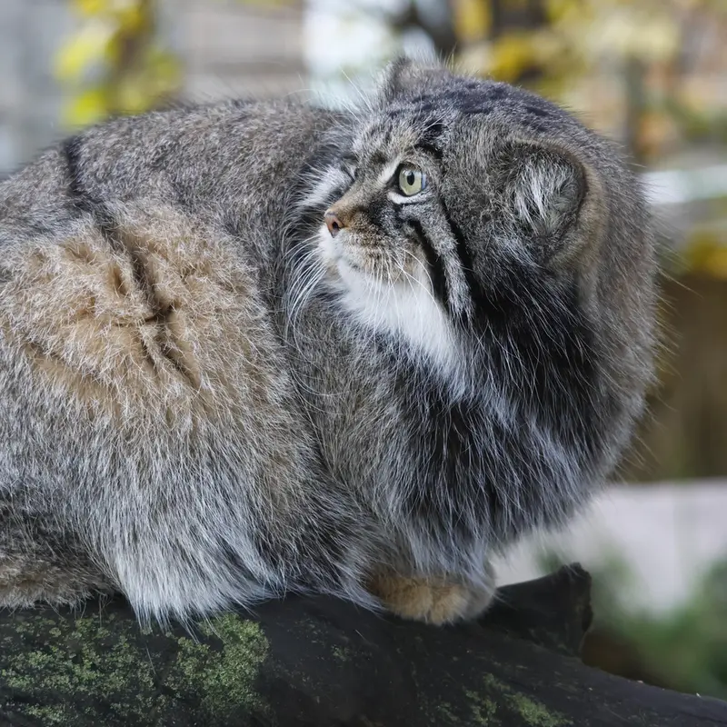 A photograph of Timofey in Moscow zoo