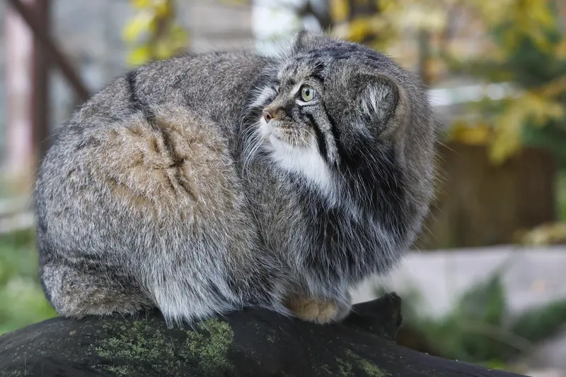 A photograph of Timofey in Moscow zoo
