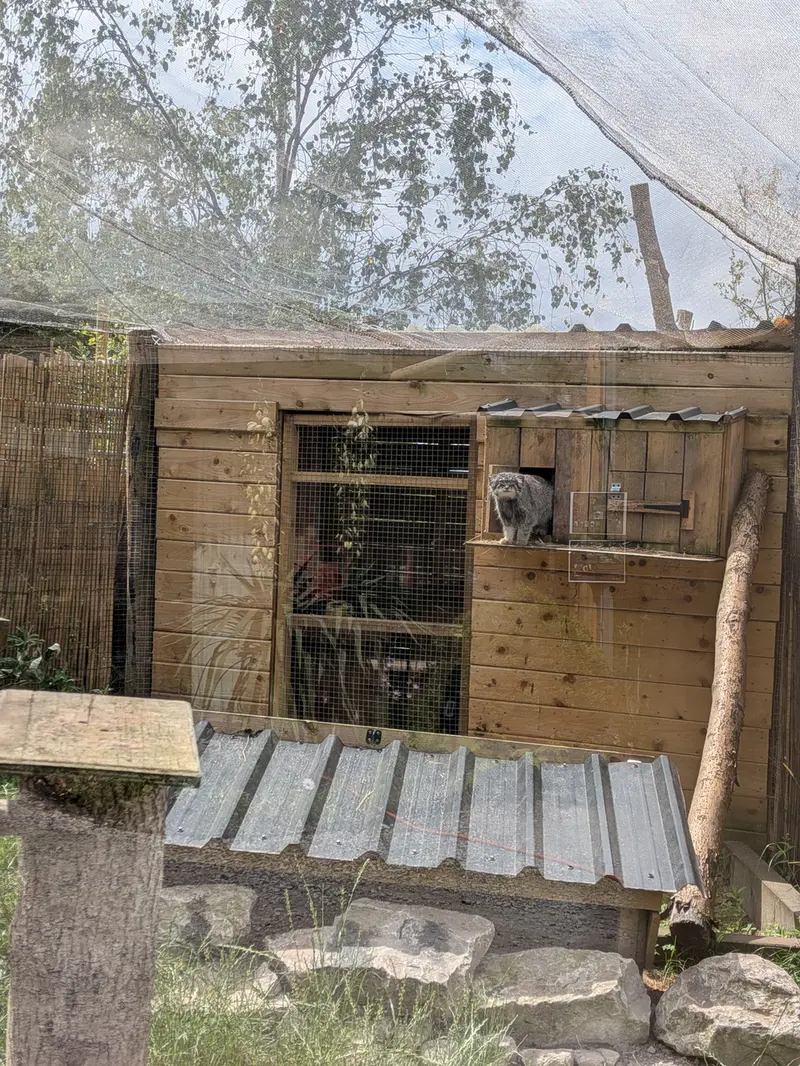 A photograph of Altai in The Lakeland Wildlife Oasis