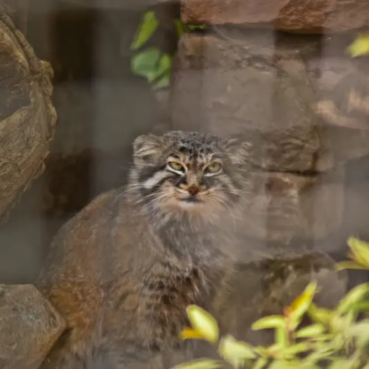 A photograph of Karl-Heinz in Saarbrücken Zoo