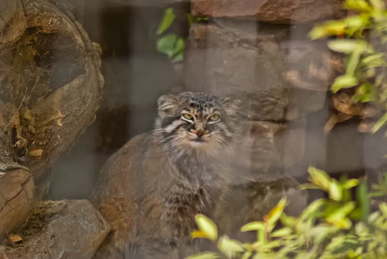 A photograph of Karl-Heinz in Saarbrücken Zoo