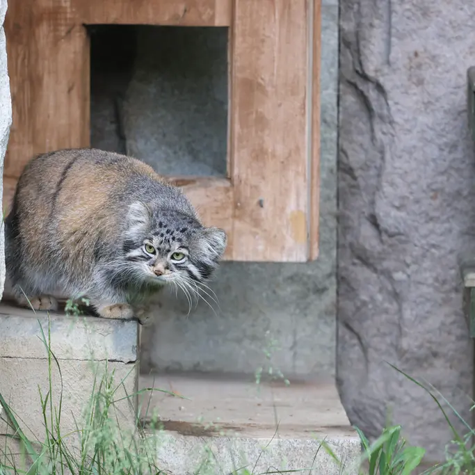 A photograph of Timofey in Moscow zoo